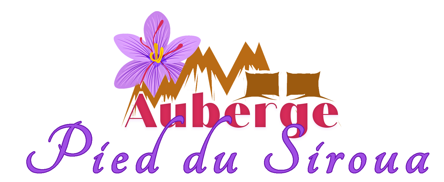 Logo Auberge Pied du Siroua Talouine